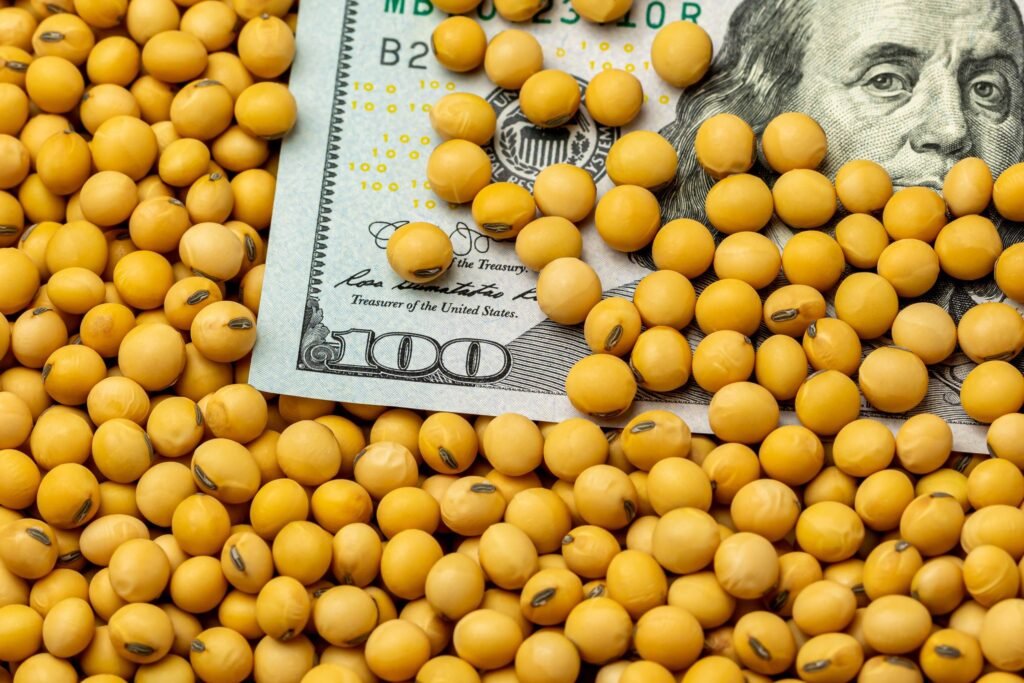 Soybeans Covering 100 dollar bill